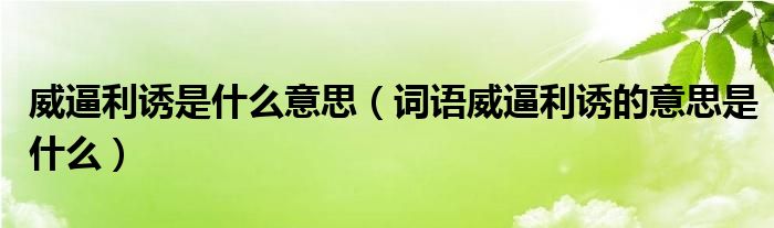 威逼利诱是什么意思(词语威逼利诱的意思是什么)