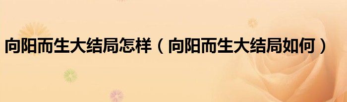 向阳而生大结局怎样(向阳而生大结局如何)