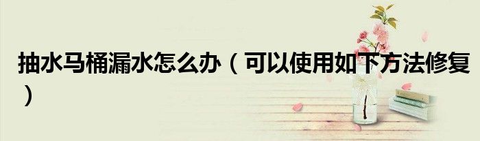 抽水马桶漏水怎么办(可以使用如下方法修复)