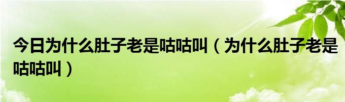 今日为什么肚子老是咕咕叫(为什么肚子老是咕咕叫)