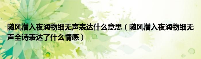 随风潜入夜润物细无声表达什么意思(随风潜入夜润物细无声全诗表达了什么情感)