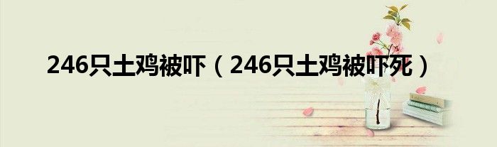 246只土鸡被吓(246只土鸡被吓死)