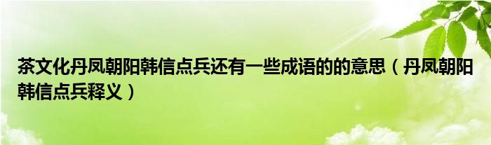 茶文化丹凤朝阳韩信点兵还有一些成语的的意思(丹凤朝阳韩信点兵释义)