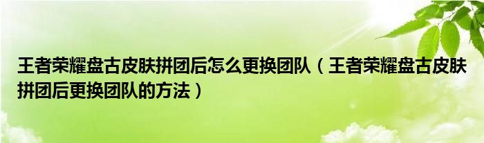 王者荣耀盘古皮肤拼团后怎么更换团队(王者荣耀盘古皮肤拼团后更换团队的方法)
