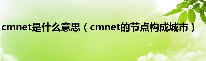 cmnet是什么意思(cmnet的节点构成城市)