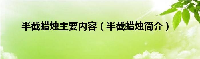 半截蜡烛主要内容(半截蜡烛简介)