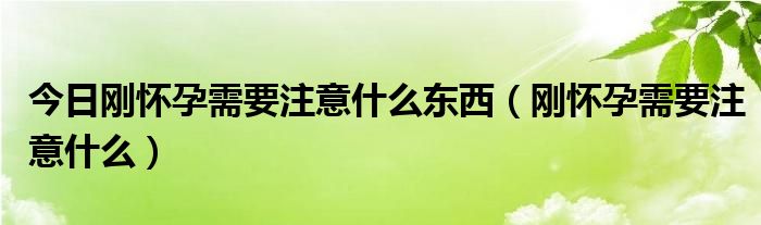 今日刚怀孕需要注意什么东西（刚怀孕需要注意什么）