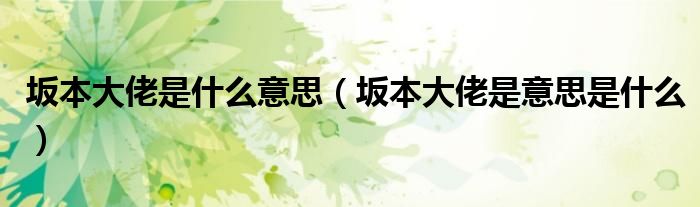 坂本大佬是什么意思(坂本大佬是意思是什么)