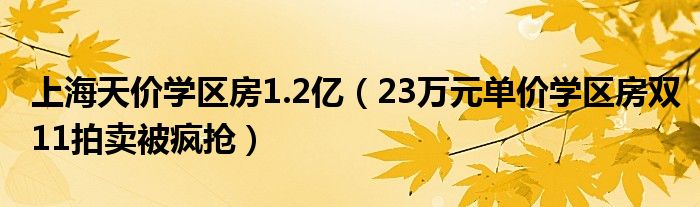上海天价学区房1.2亿(23万元单价学区房双11拍卖被疯抢)