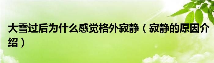 大雪过后为什么感觉格外寂静(寂静的原因介绍)