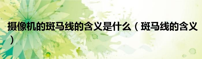 摄像机的斑马线的含义是什么(斑马线的含义)