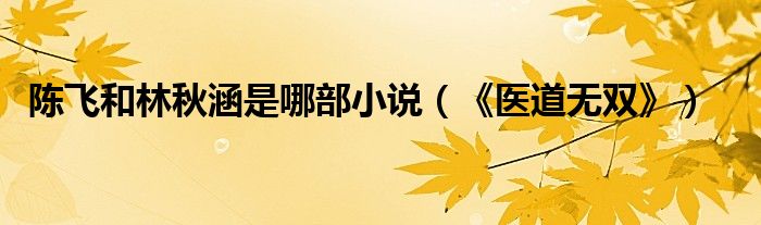 陈飞和林秋涵是哪部小说(《医道无双》)