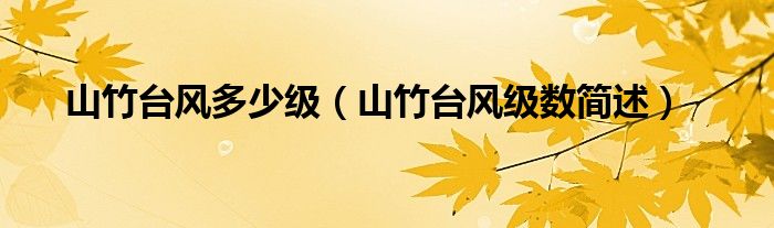 山竹台风多少级(山竹台风级数简述)