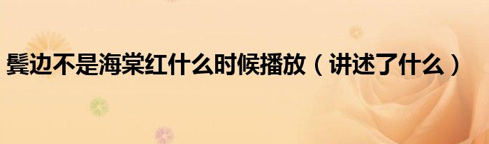 鬓边不是海棠红什么时候播放(讲述了什么)