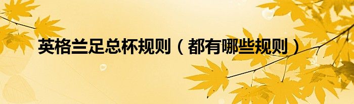 英格兰足总杯规则(都有哪些规则)