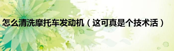 怎么清洗摩托车发动机(这可真是个技术活)