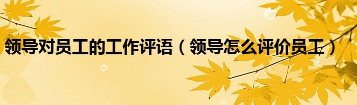 领导对员工的工作评语(领导怎么评价员工)