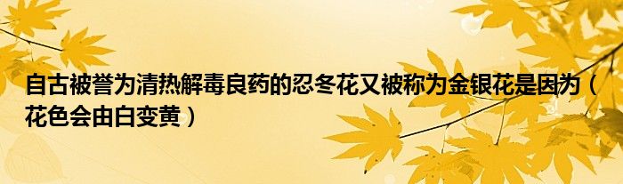 自古被誉为清热解毒良药的忍冬花又被称为金银花是因为(花色会由白变黄)
