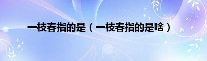 一枝春指的是(一枝春指的是啥)