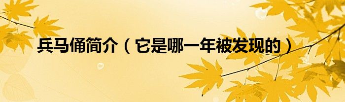兵马俑简介(它是哪一年被发现的)