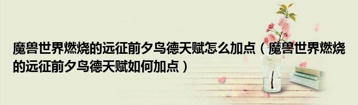 魔兽世界燃烧的远征前夕鸟德天赋怎么加点(魔兽世界燃烧的远征前夕鸟德天赋如何加点)