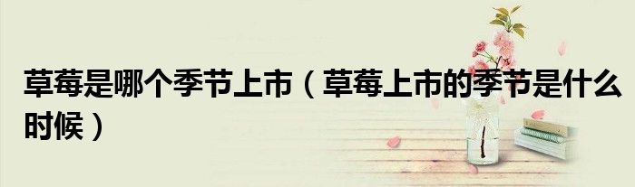 草莓是哪个季节上市(草莓上市的季节是什么时候)