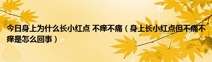 今日身上为什么长小红点 不痒不痛(身上长小红点但不痛不痒是怎么回事)