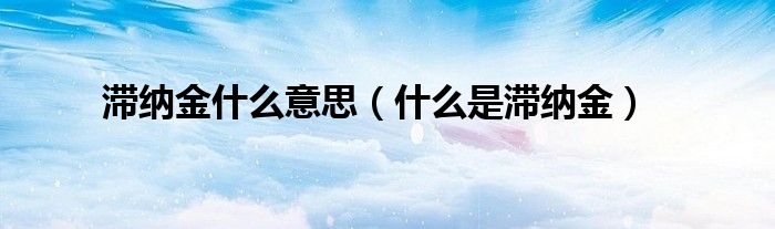 滞纳金什么意思(什么是滞纳金)
