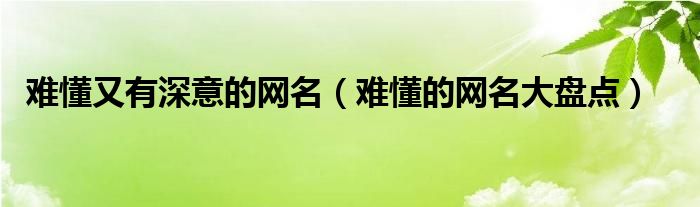 难懂又有深意的网名(难懂的网名大盘点)
