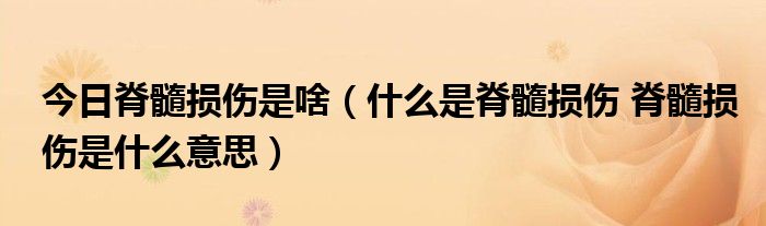 今日脊髓损伤是啥(什么是脊髓损伤 脊髓损伤是什么意思)
