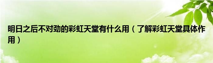 明日之后不对劲的彩虹天堂有什么用(了解彩虹天堂具体作用)