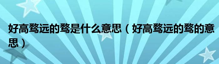 好高骛远的骛是什么意思(好高骛远的骛的意思)