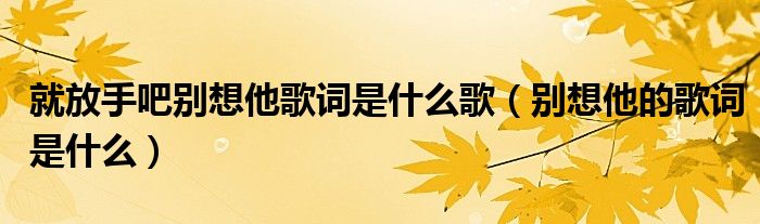 就放手吧别想他歌词是什么歌（别想他的歌词是什么）