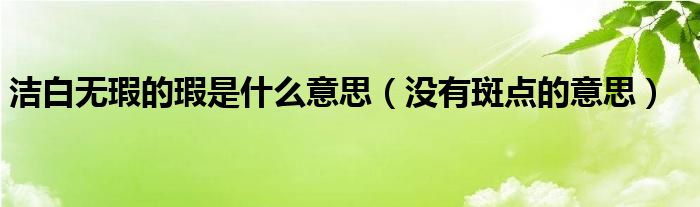 洁白无瑕的瑕是什么意思（没有斑点的意思）