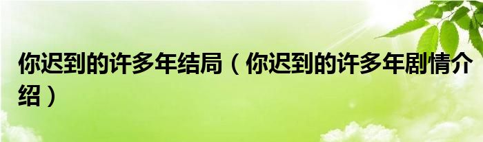 你迟到的许多年结局(你迟到的许多年剧情介绍)