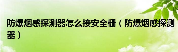 防爆烟感探测器怎么接安全栅(防爆烟感探测器)