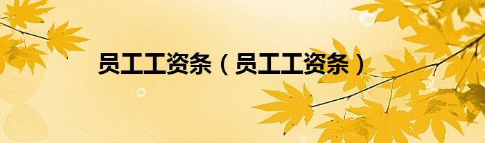 员工工资条（员工工资条）