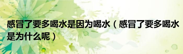 感冒了要多喝水是因为喝水(感冒了要多喝水是为什么呢)