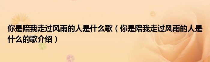 你是陪我走过风雨的人是什么歌(你是陪我走过风雨的人是什么的歌介绍)