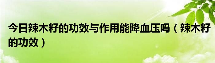 今日辣木籽的功效与作用能降血压吗（辣木籽的功效）