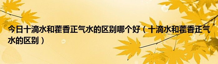 今日十滴水和藿香正气水的区别哪个好(十滴水和藿香正气水的区别)