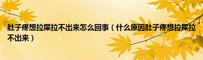 肚子疼想拉屎拉不出来怎么回事(什么原因肚子疼想拉屎拉不出来)