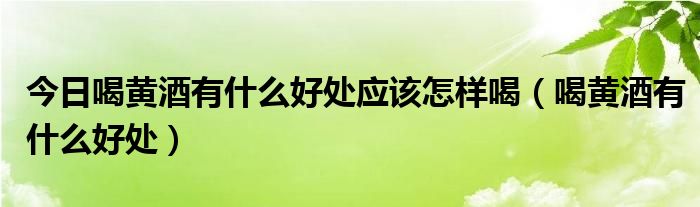 今日喝黄酒有什么好处应该怎样喝(喝黄酒有什么好处)