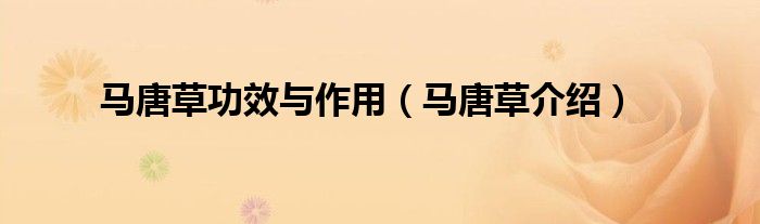 马唐草功效与作用(马唐草介绍)