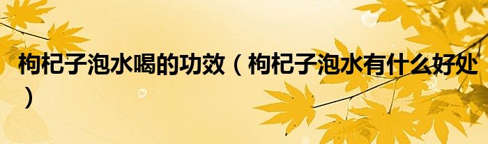 枸杞子泡水喝的功效(枸杞子泡水有什么好处)
