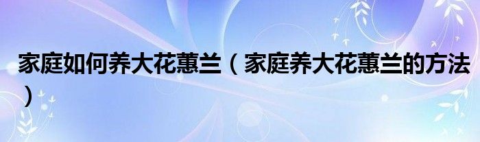 家庭如何养大花蕙兰（家庭养大花蕙兰的方法）