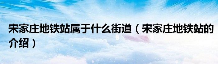 宋家庄地铁站属于什么街道(宋家庄地铁站的介绍)