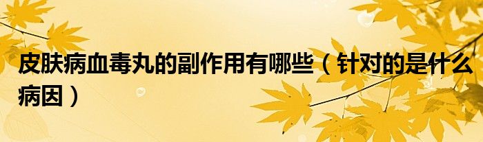 皮肤病血毒丸的副作用有哪些(针对的是什么病因)
