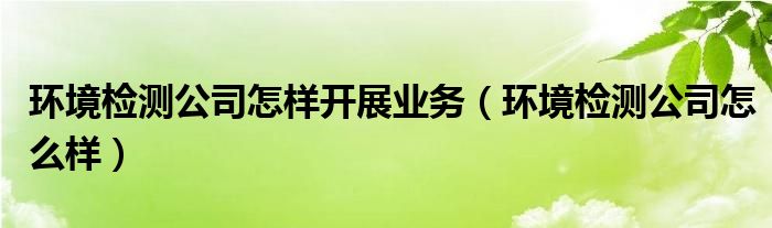 环境检测公司怎样开展业务（环境检测公司怎么样）