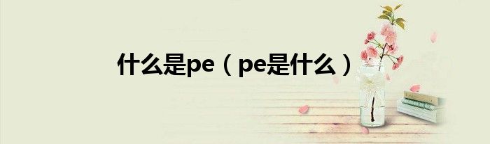 什么是pe(pe是什么)